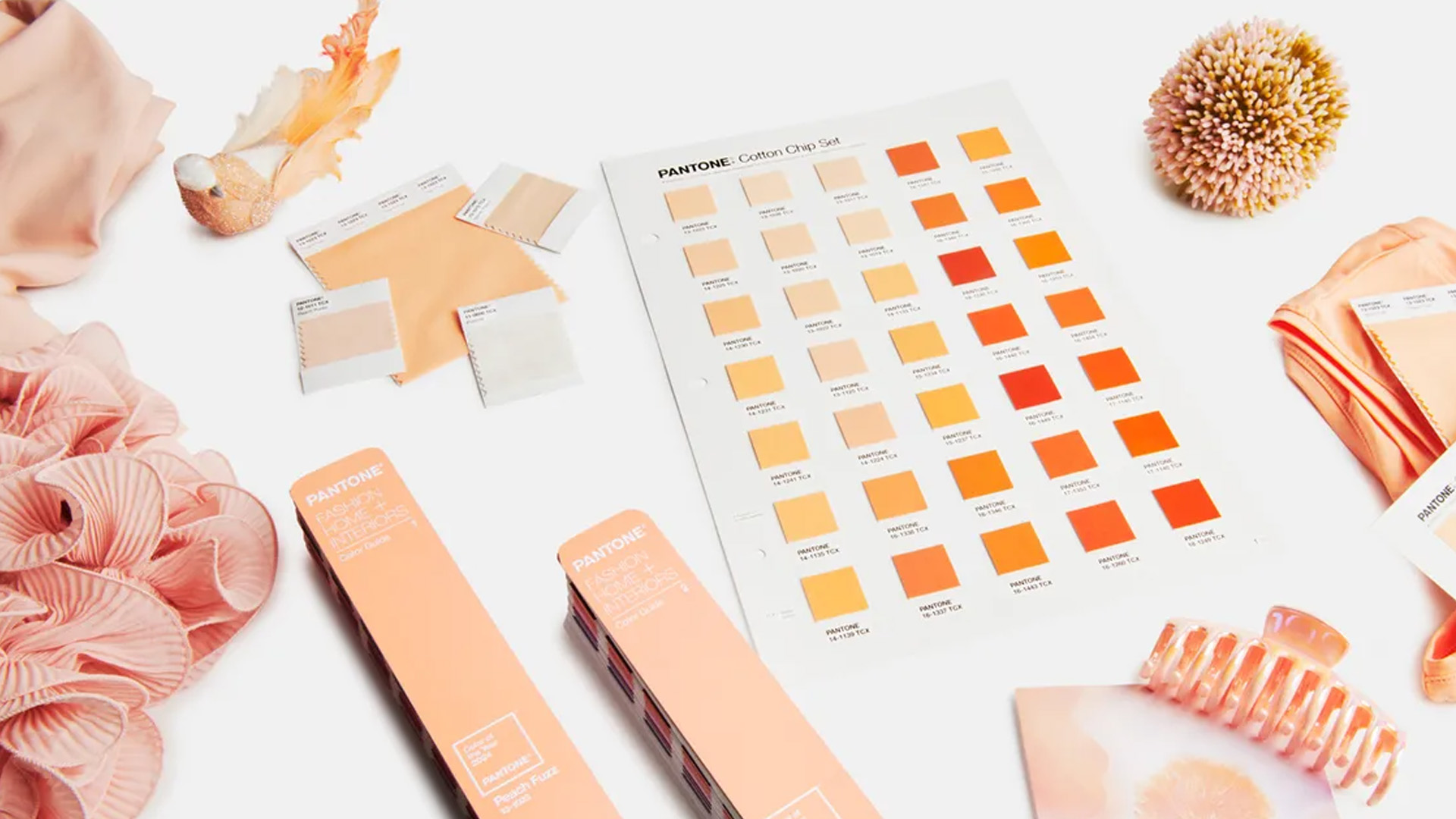 PANTONE Peach Fuzz- Color of the year 2024